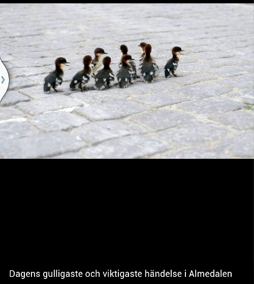 Screenshot_2013-07-17-22-10-15-1.png image