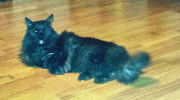 IMG_20150805_2.png image