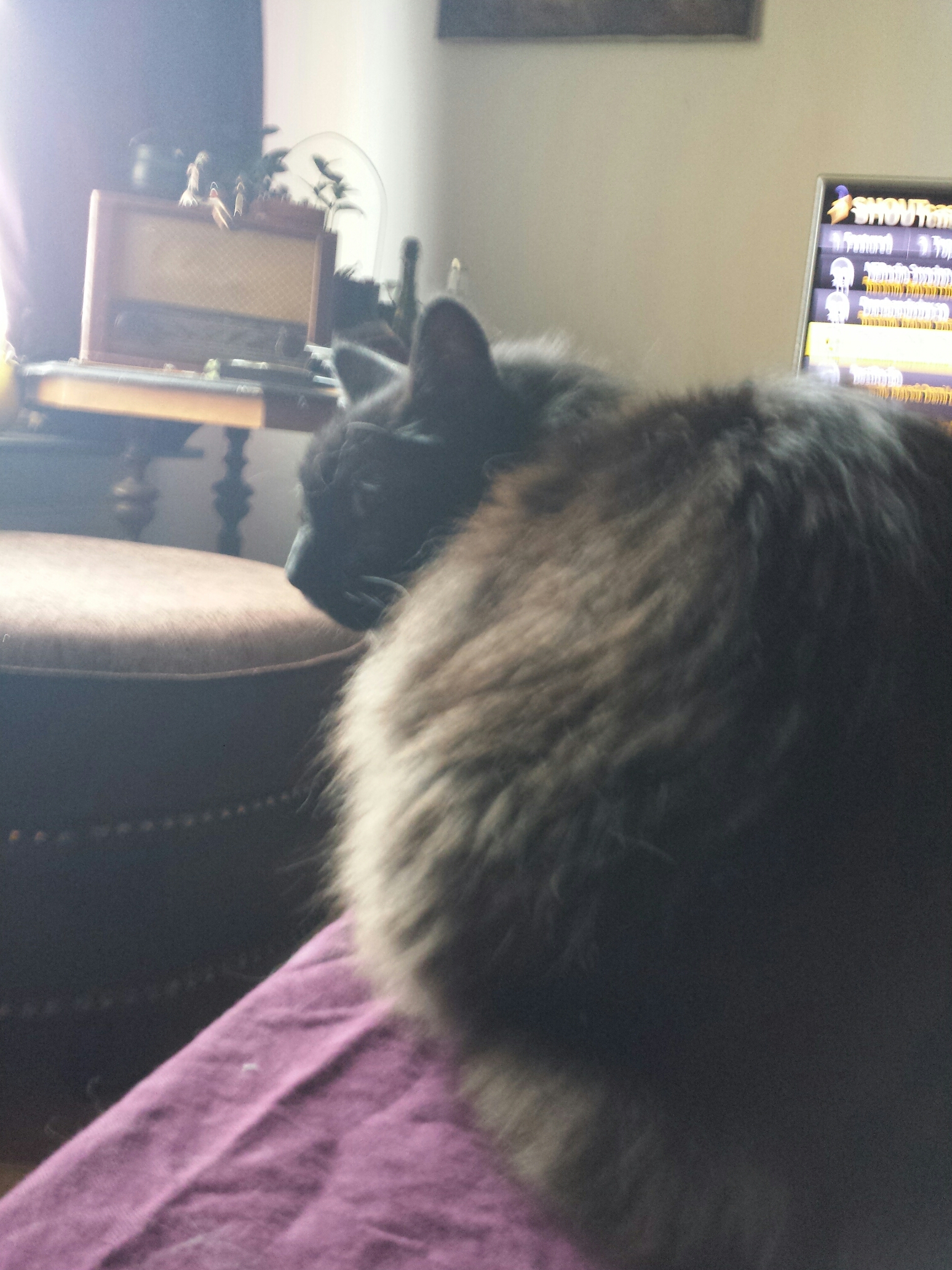 20150902_175534.jpg image