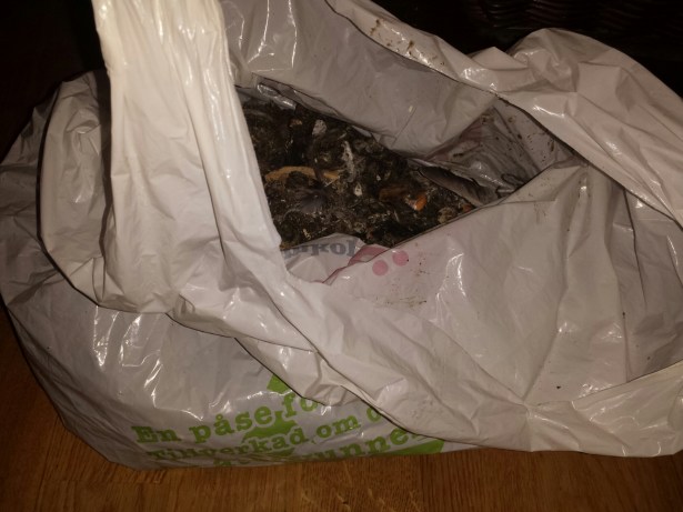 20151126_000658.jpg image