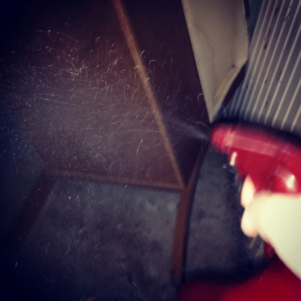 IMG_20151125_225633.jpg image