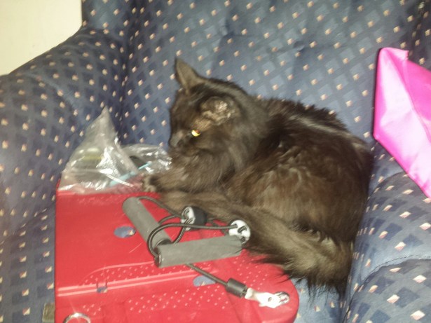 20151224_204220.jpg image